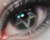 LH Christmas Eyes III