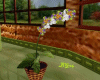 *Orquidea Spring*