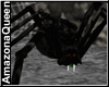 )o( Black Widow Spider