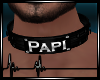 + Papi Collar M