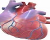 MY BEATING HEART