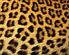 Faux Cheetah Rug