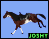 animated riding horse-ST