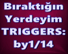 Biraktigin Yerdeyim