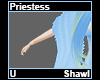 Priestess Shawl