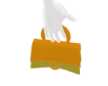 ORANGE purse