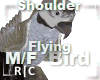 R|C Bird Brownish  M/F