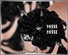 n| R Spike Rose Ace