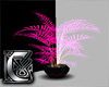 C - Plant v1 pink