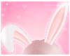 Kawaii Bunny Ears ♡