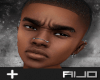 :A: QUINN V1