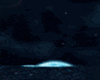 Z*Blue Moonlight Laments