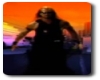 The Bounty Hunter