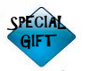 SPECIAL GIFT