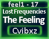 Lost Frequensies-Feeling