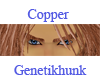 Copper Eyebrows Male