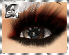 [ASK]Eyelash Dark Brown