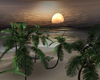 Paradis Beach