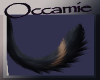 Paradox Tail