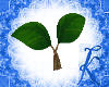~K~BlueberryBunny/Stem