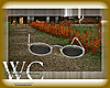 DW COUNTRY GAL SHADES