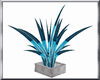 (DS)blue palm