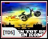 [TDS]The Partysquad-Rijd