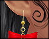 🎁 Xmas 25 Earrings
