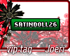 j| Satindoll26