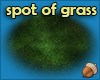 Spot of Grass