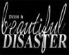 {NxI}Beautiful Disaster