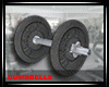 MAU/ GYM DUMBBELLS