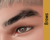 Man Realistic Brows