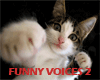 Funny Voices 2