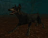 Devil Dog/Animated