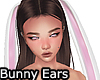 [Alu] Long Bunny Ears