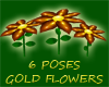 (IKY2) 6 POSES G/FLOWER