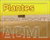 [ACM] Showroom Plantes