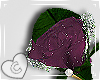 Plum Boutonniere