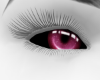 𝒩. Candy Eyes BO F/M