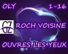 Roch Voisine - Ouvres