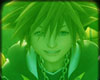 Sora and friends
