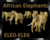 *African Elephant Light