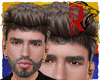 🦁 Xandy Grisa