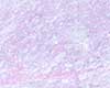 Lilac Marble Wallpaper