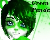 Green Panda Bear Bundle