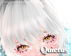 Cloud Bangs | Q