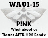 Pink What about us rmx