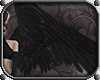 Valkyrie Wings *Black*