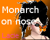 [Lacie]MonarchButterfly!